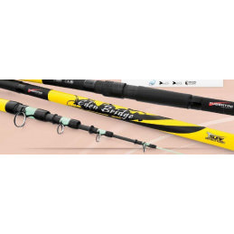 Canna Tubertini Eden Bridge da SurfCasting | CentroPescaBrando