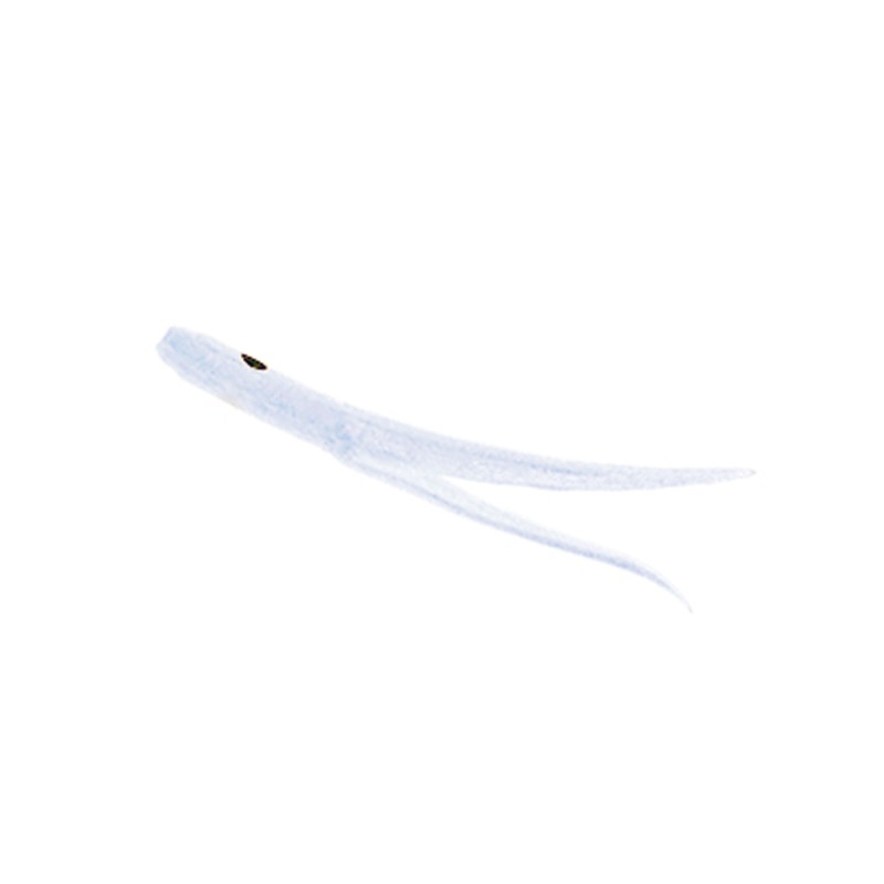 Esche Expert Predator Code di Rondine | CentroPescaBrando