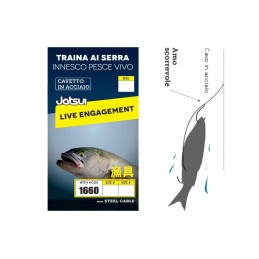 Finale Jatsui Traina ai Serra Innesco Pesce Vivo |CentroPescaBrando