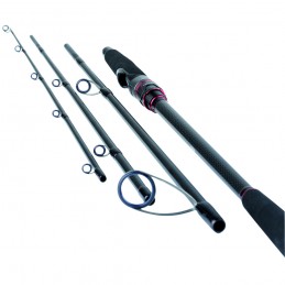 Daiwa 22 Freams Evolution 802HFS Canna da Spinning |CentroPescaBrando
