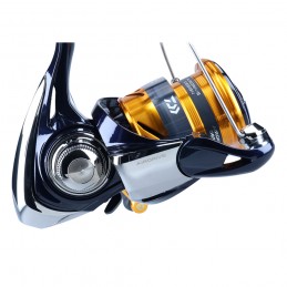 Daiwa 23 Revros LT Mulinello Spinning Bolognese Egi |CentroPescaBrando