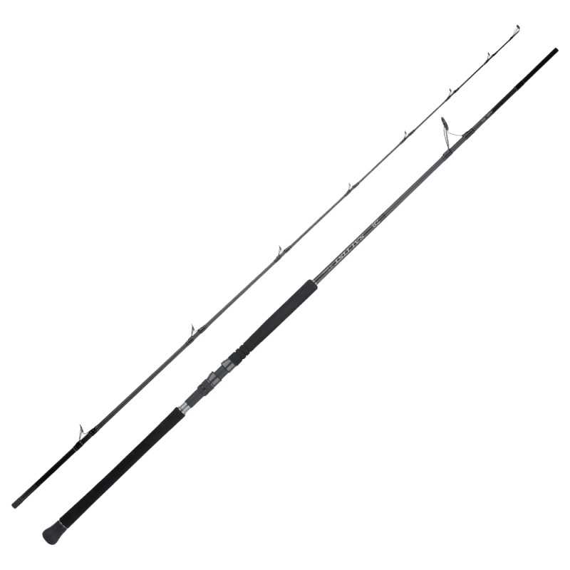 Daiwa 25 Saltist SX Jig Special 95H Canna da Shore |CentroPescaBrando