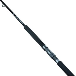 Daiwa 25 Saltist SX Jig Special 95H Canna da Shore |CentroPescaBrando