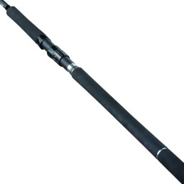 Daiwa 25 Saltist X SJ Canna Shore Jigging Carbonio |CentroPescaBrando